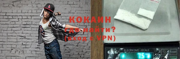 тгк Белокуриха