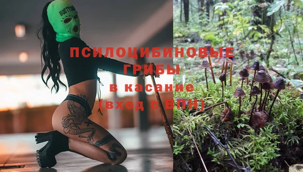 тгк Белокуриха