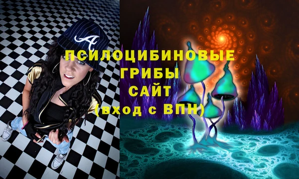 тгк Белокуриха
